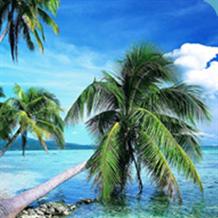 7 nights in the Magical Maldives