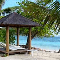 Discover Zanzibar