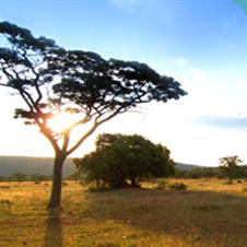 Etosha National Park